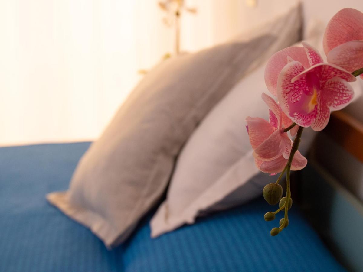 Hotel Merano Misano Adriatico Εξωτερικό φωτογραφία